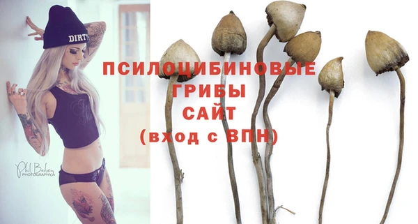сатива Алексеевка
