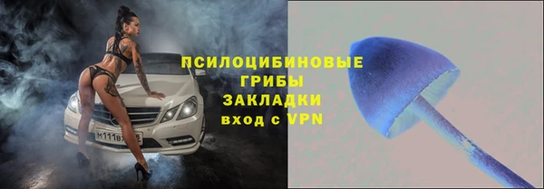сатива Алексеевка
