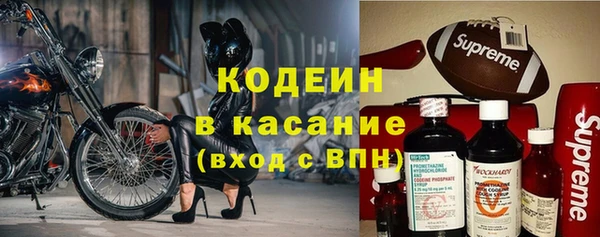 ECSTASY Алзамай