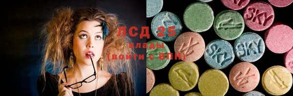 ECSTASY Алзамай